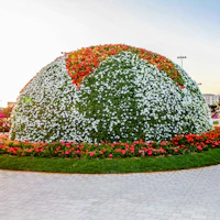 dubai miracle garden