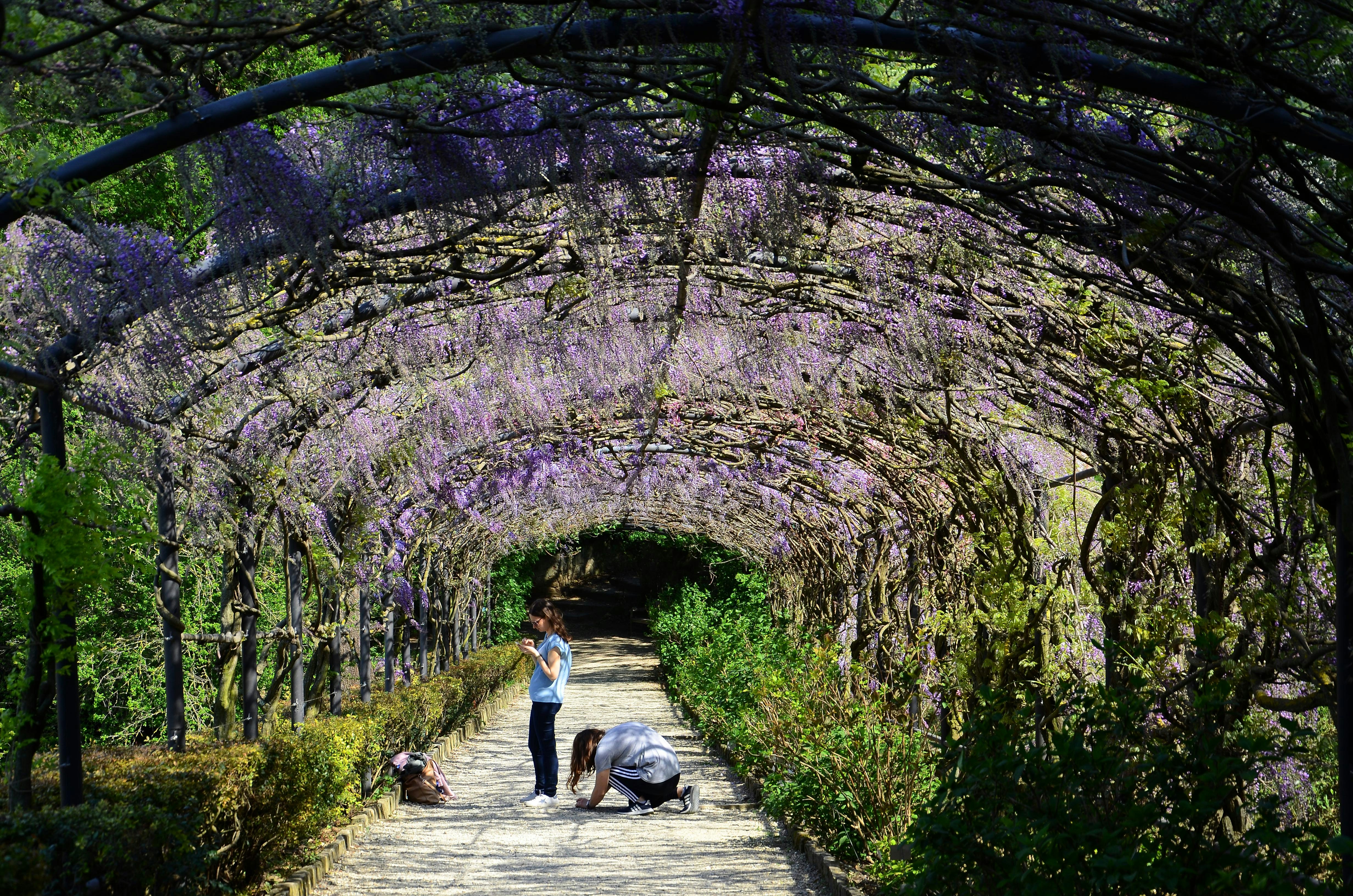 Boboli Garden Tickets