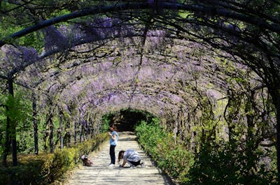 Boboli Gardens Florence