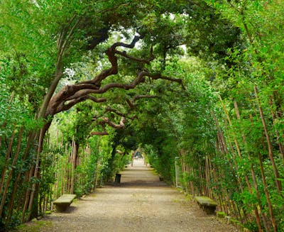 Boboli Gardens Florence