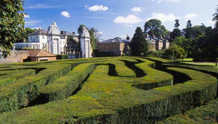 hedge maze hampton court palace