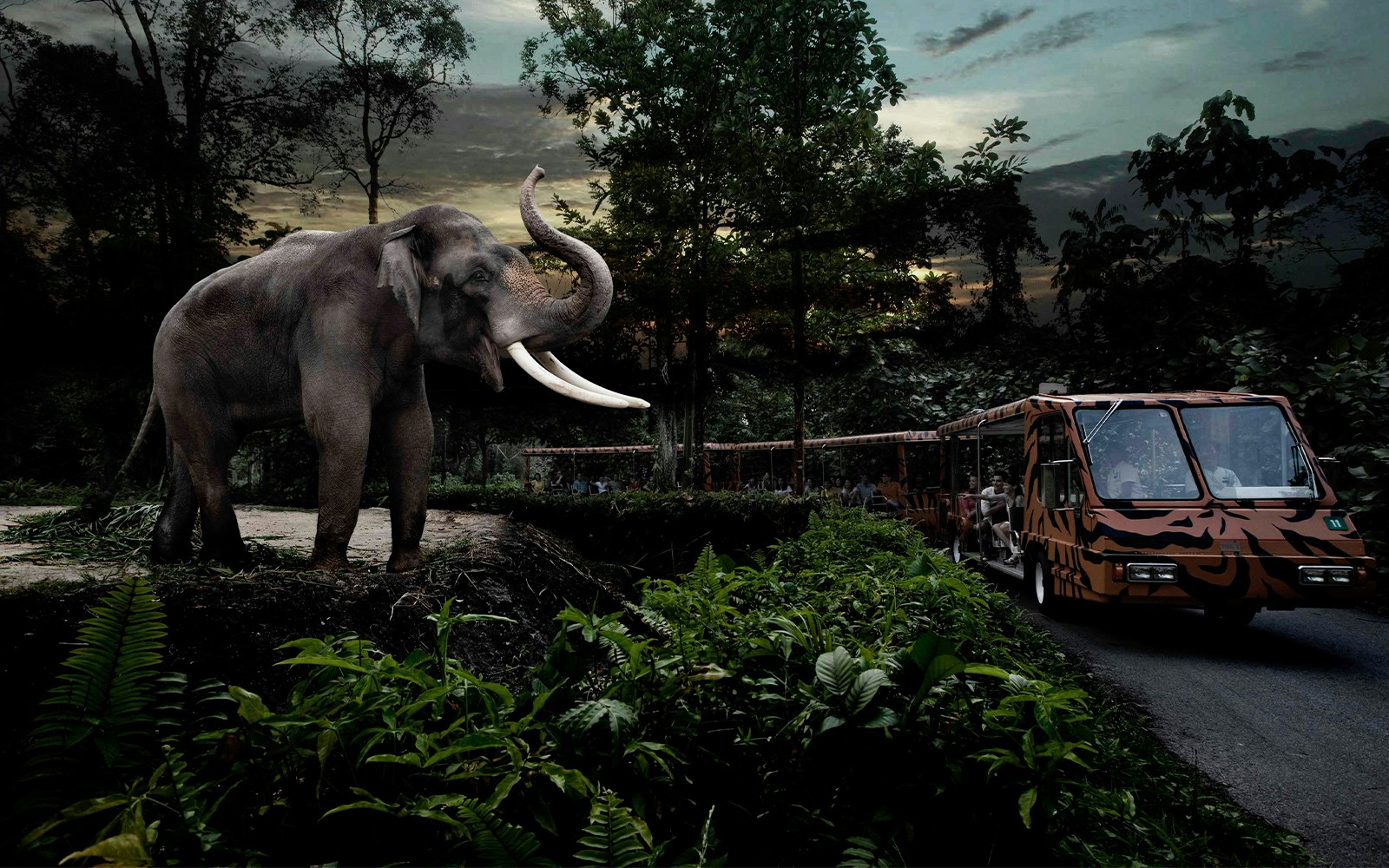 Elephant near safari tram at Night Safari Singapore.