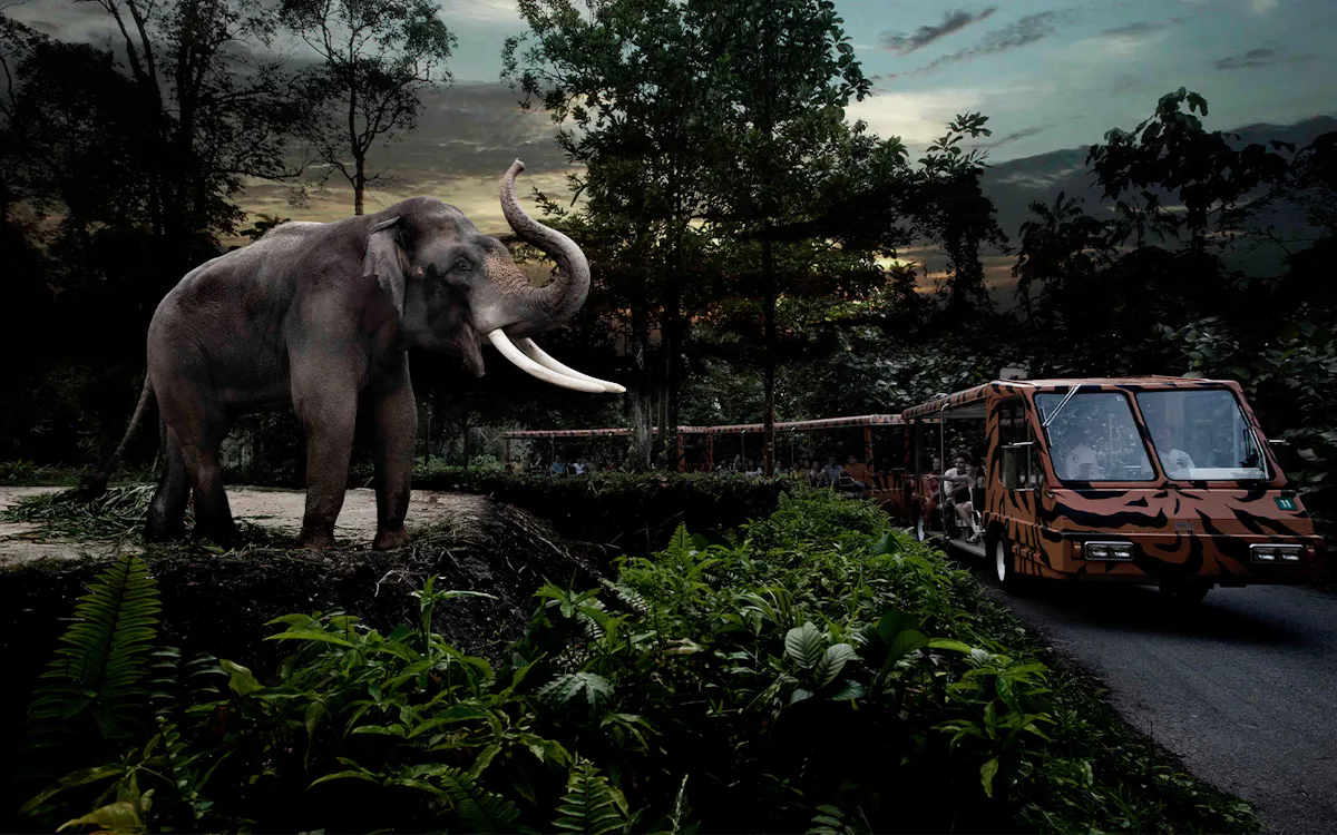 night safari singapore - things to do