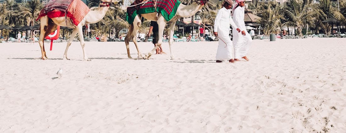 best beaches in dubai
