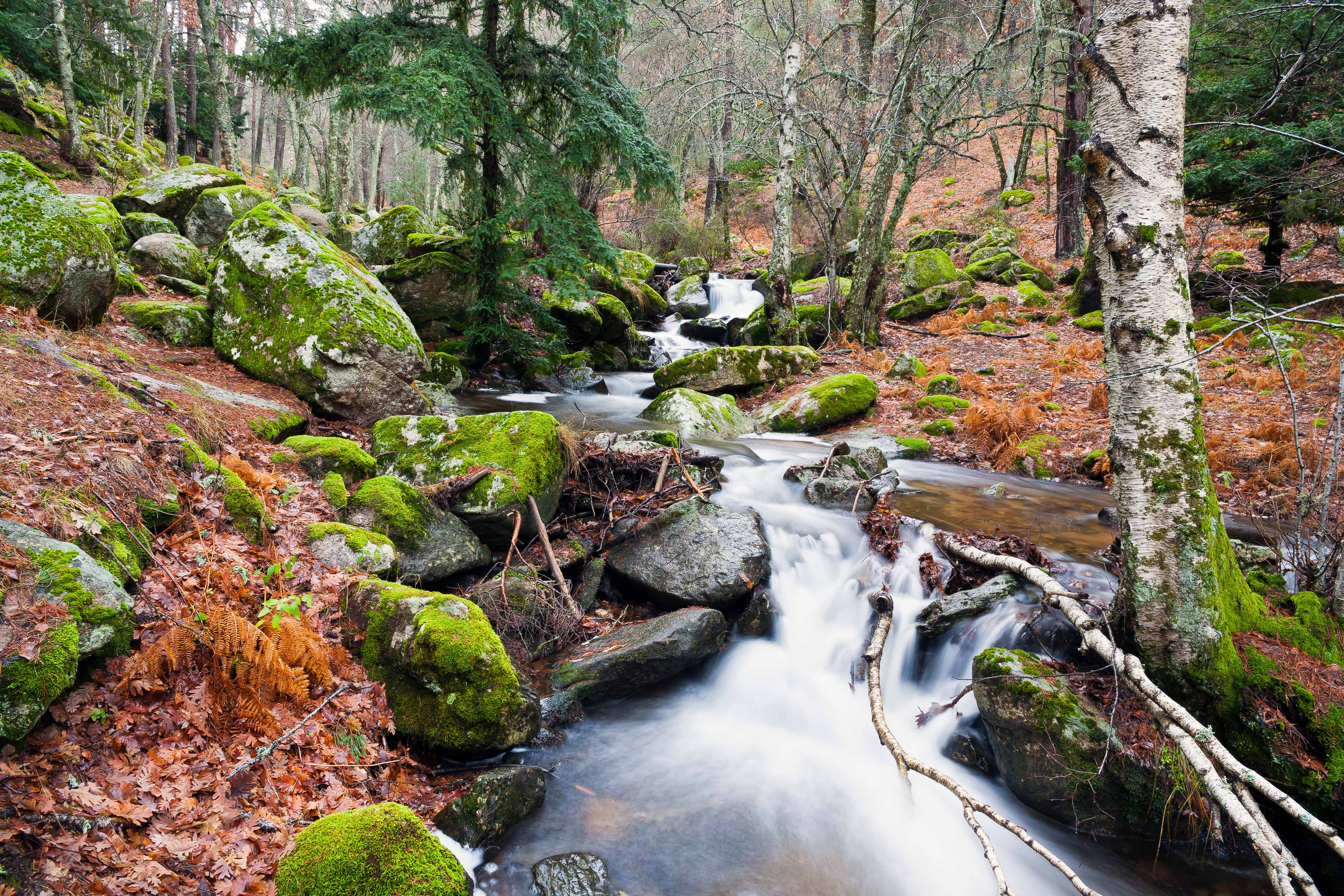 Sierra de Guadarrama National Park 