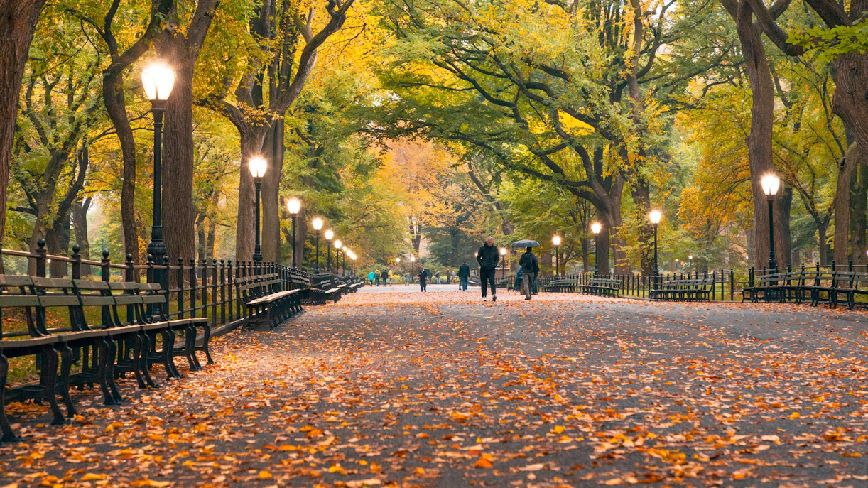 Central Park NYC - NYC bike tour