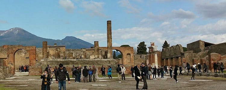 Herculaneum Ruins Guided Tours