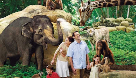 Singapore in December - Singapore Zoo