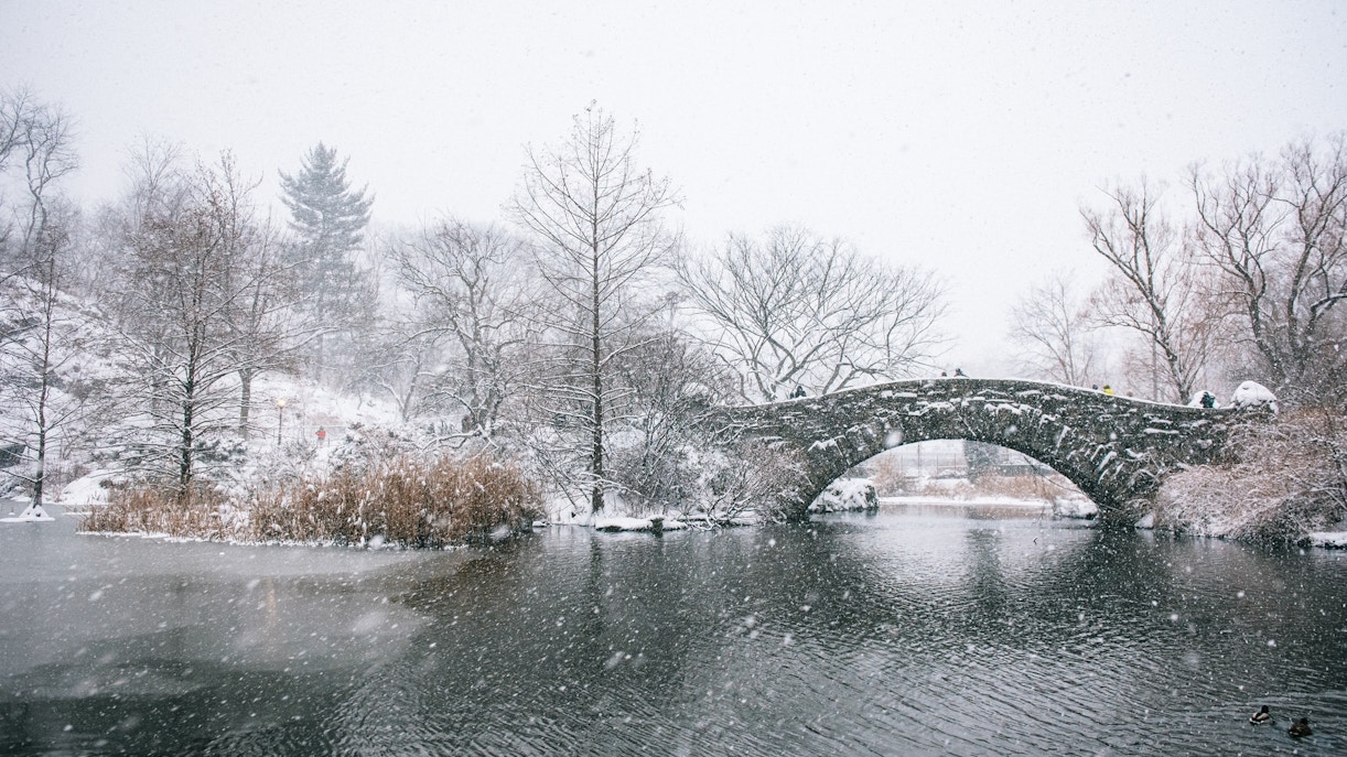 Why You Should Visit New York in January