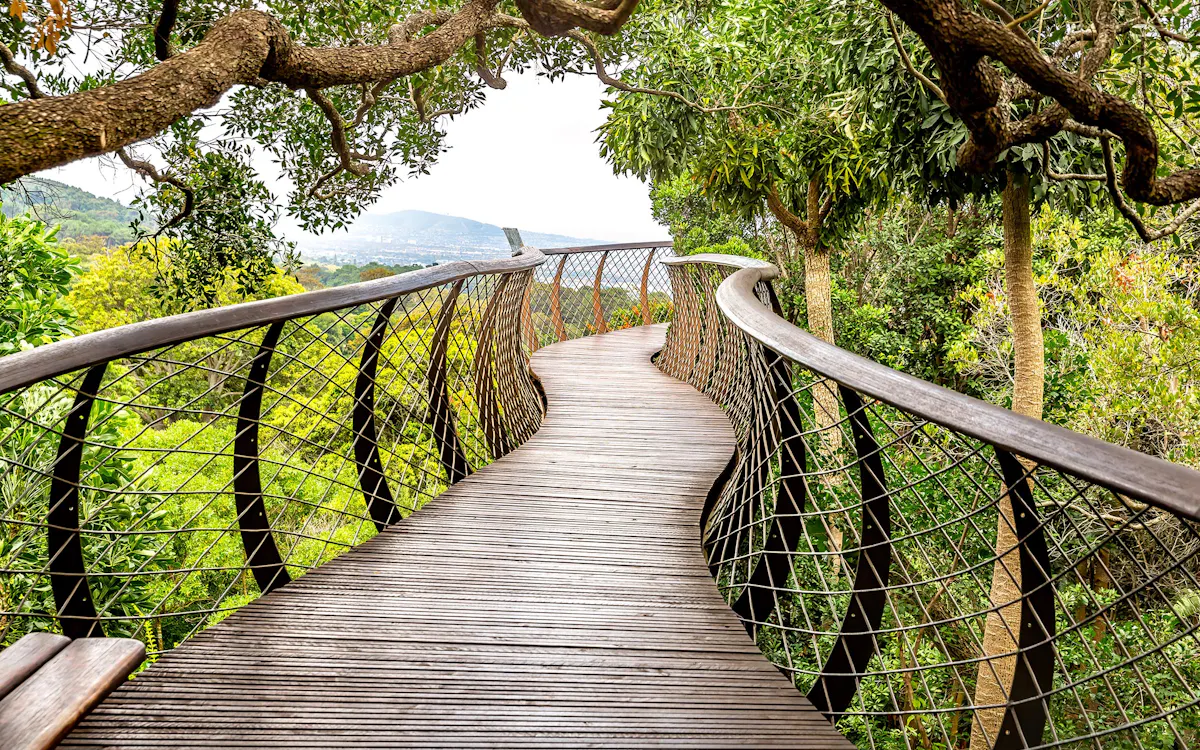 summit one vanderbilt observation deck air