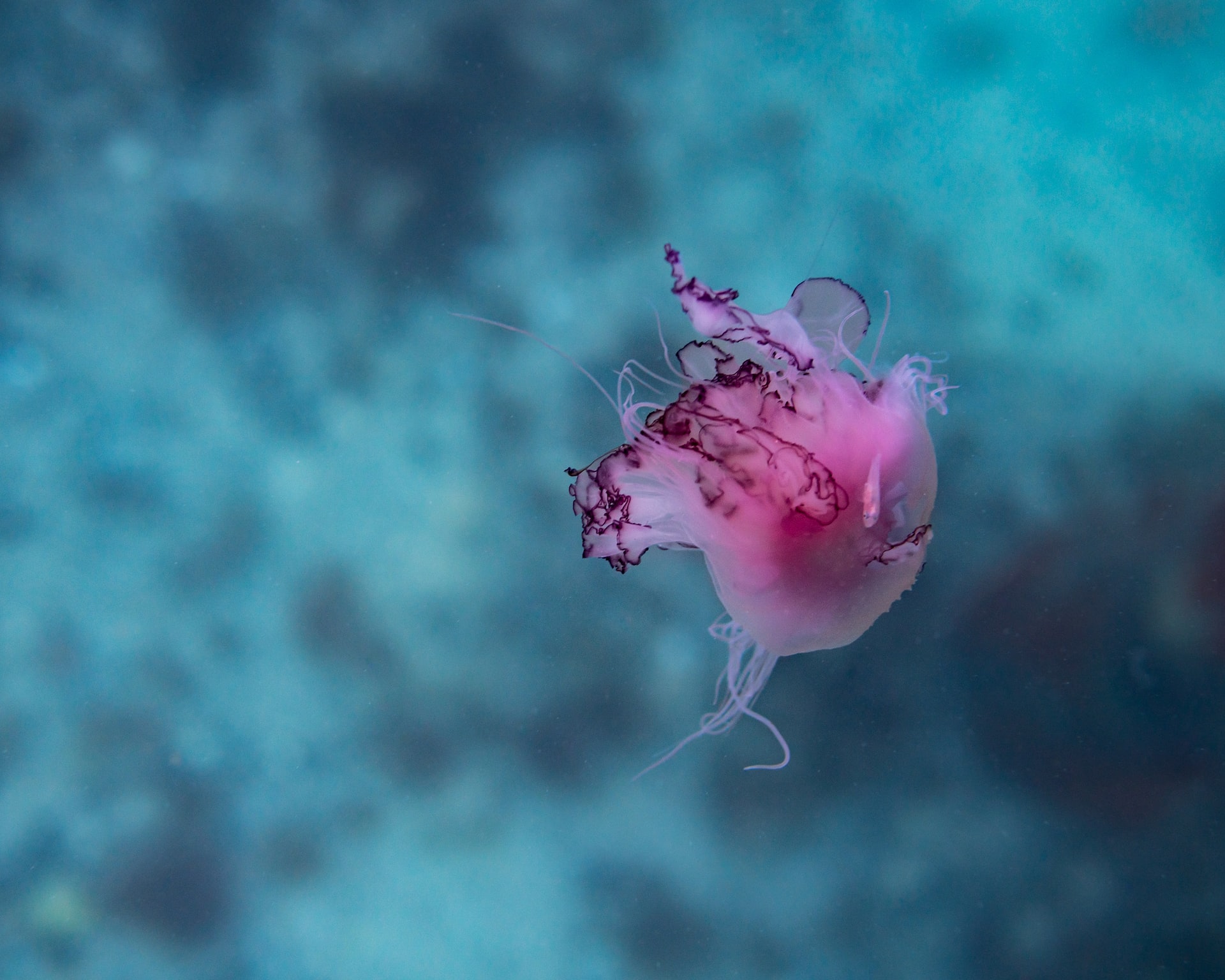 Melbourne Trip Planner