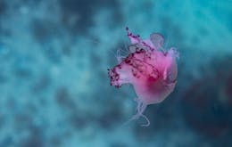 Melbourne Trip Planner