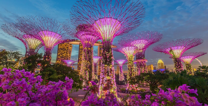 Book Guided Tours in Singapore <br> Expert Guides & Immersive Tours