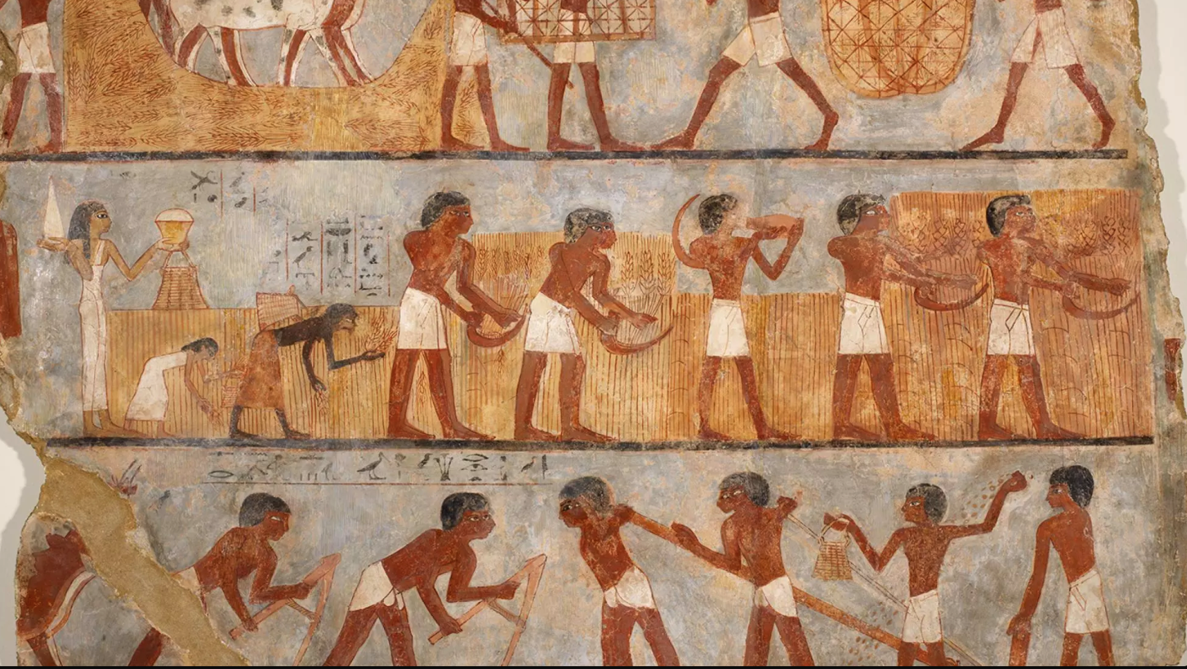 Louvre work the land