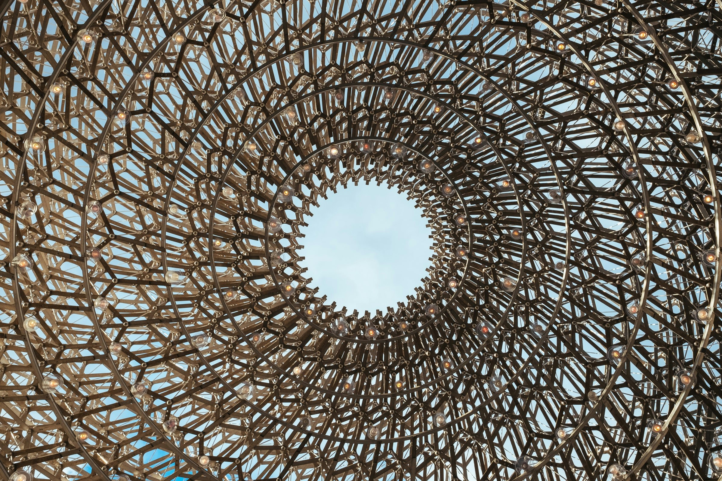 The Hive