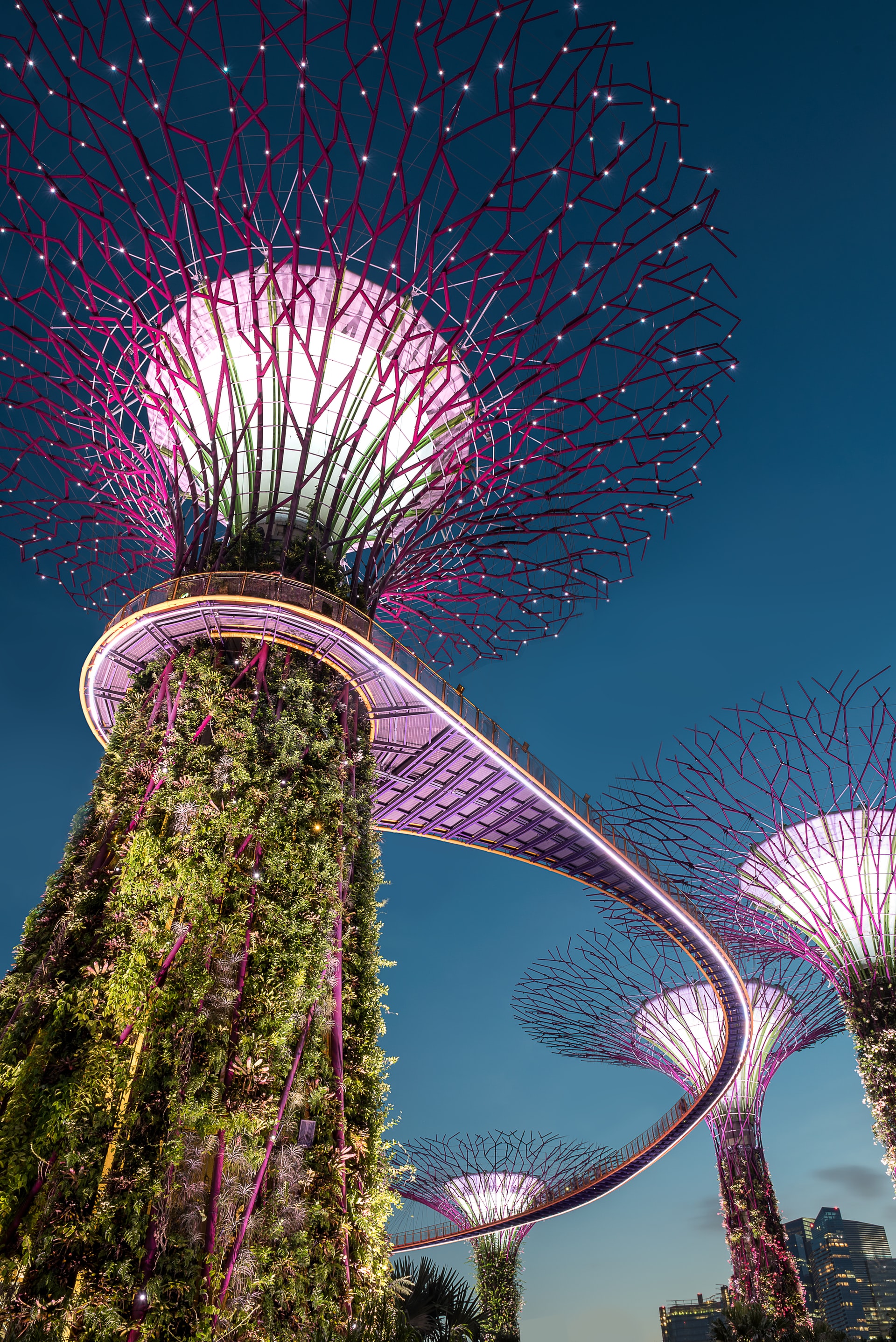 Singapore Travel Guide - Gardens by the Bay