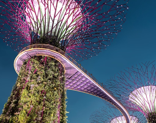 Singapore Travel Guide - Gardens by the Bay