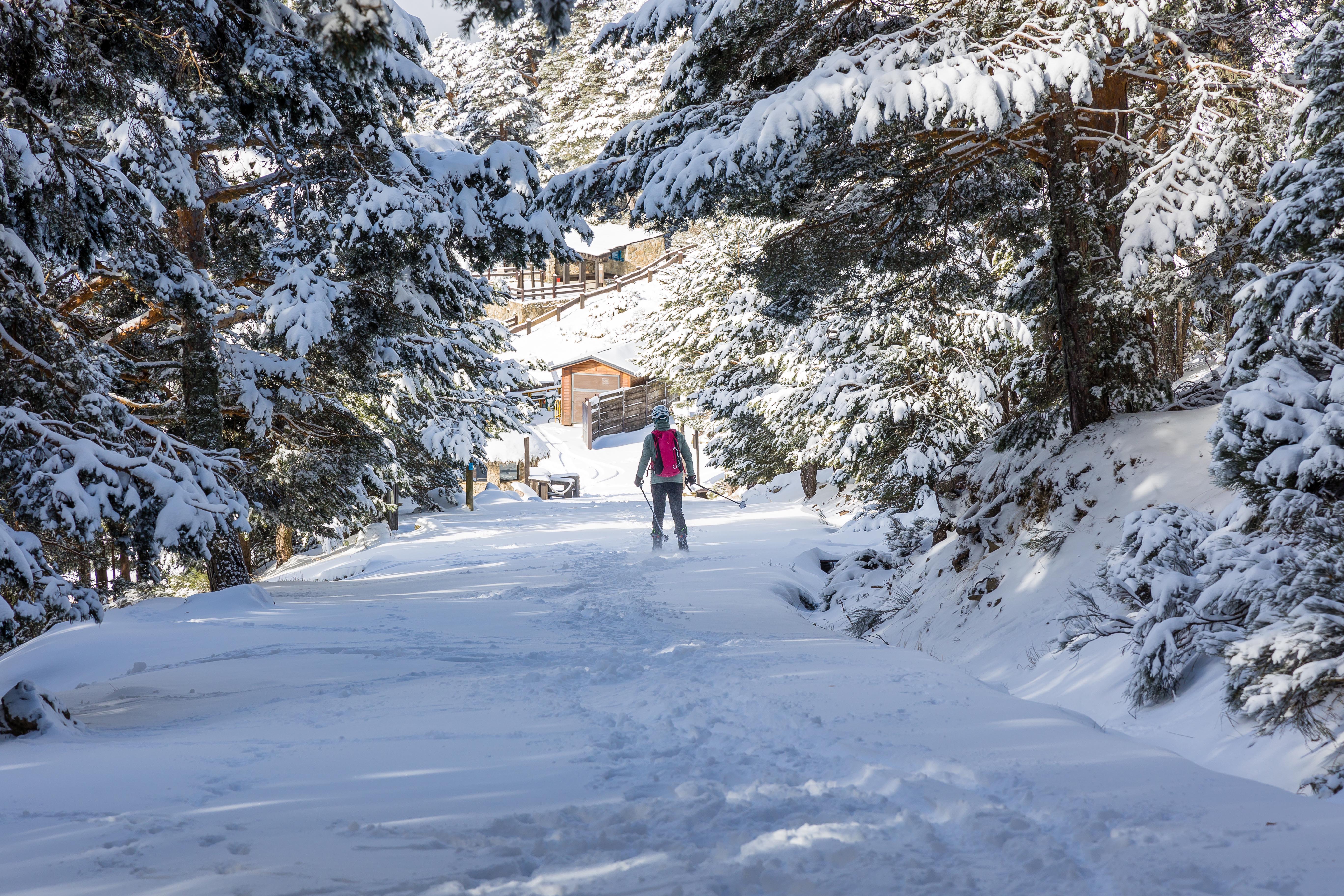 Sierra de Guadarrama National Park