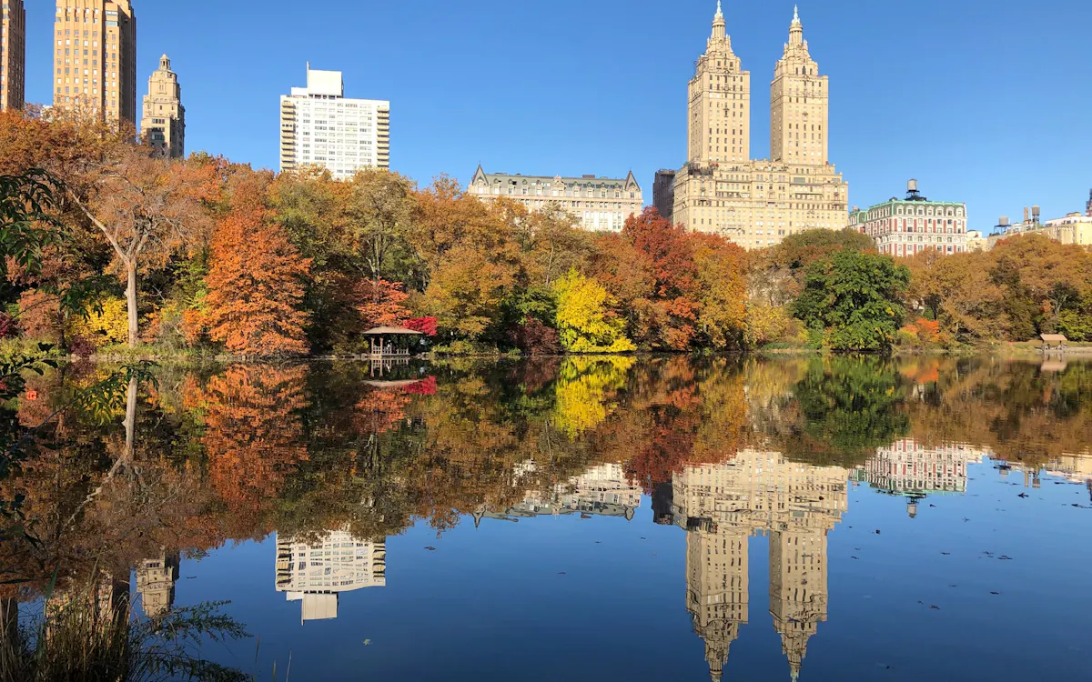 central park new york - things to do