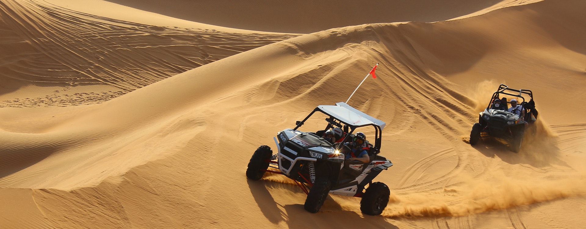 adventure desert safaris dune buggy