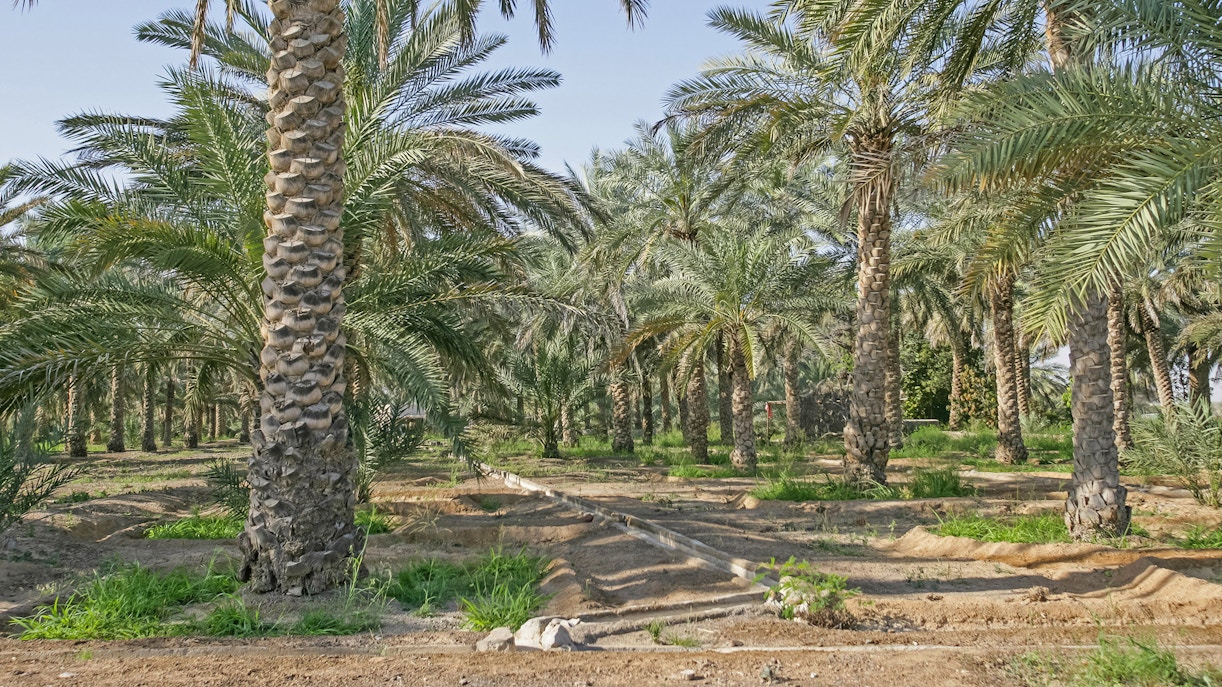 sharjah desert park dubai