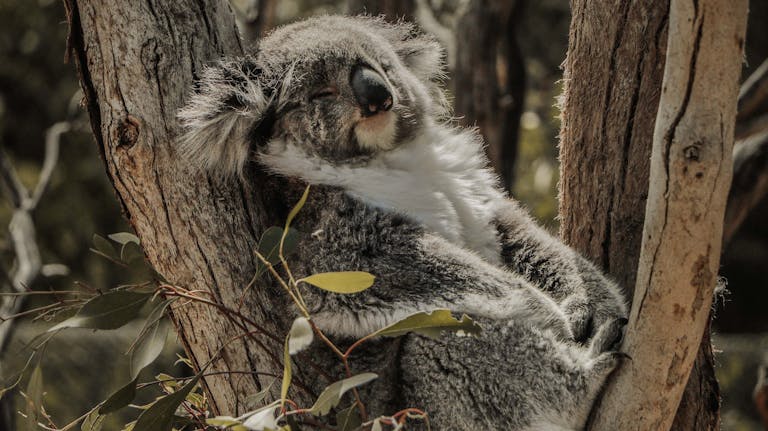 melbourne in august