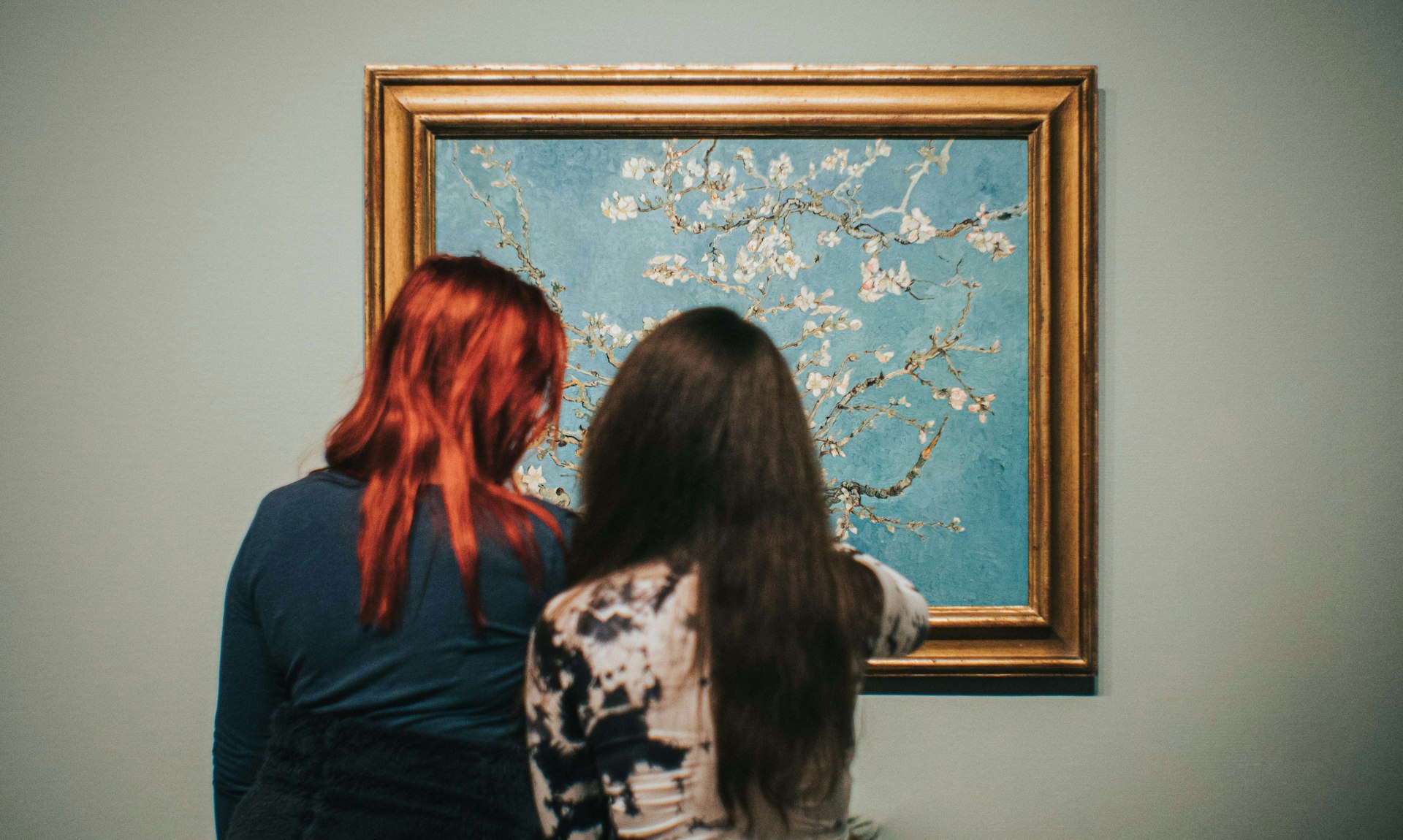 Van Gogh Museum Guided Tours