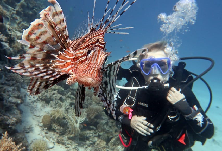 Lost Chambers Aquarium Dubai Attractions