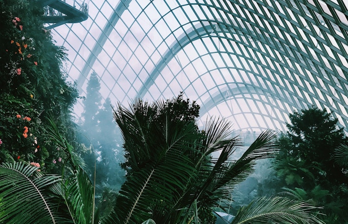 Singapore in January - What to Look Out For