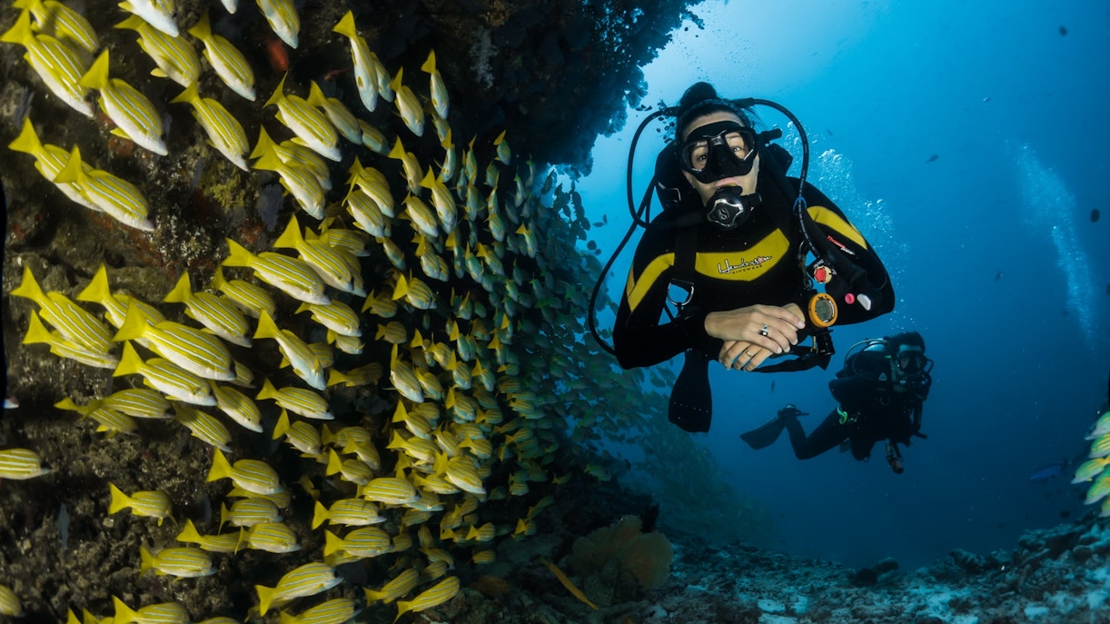 Scuba divers exploring coral reef with yellow fish in Dubai.