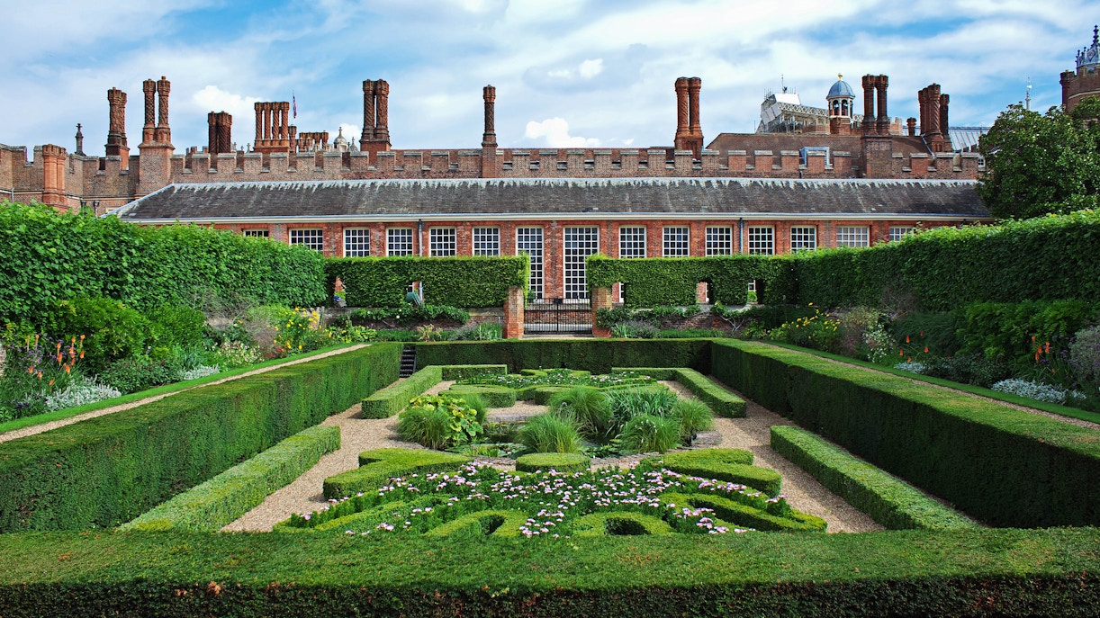 hampton court hedge maze