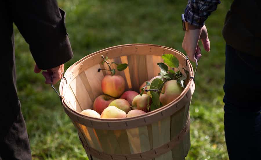 Venice in November events