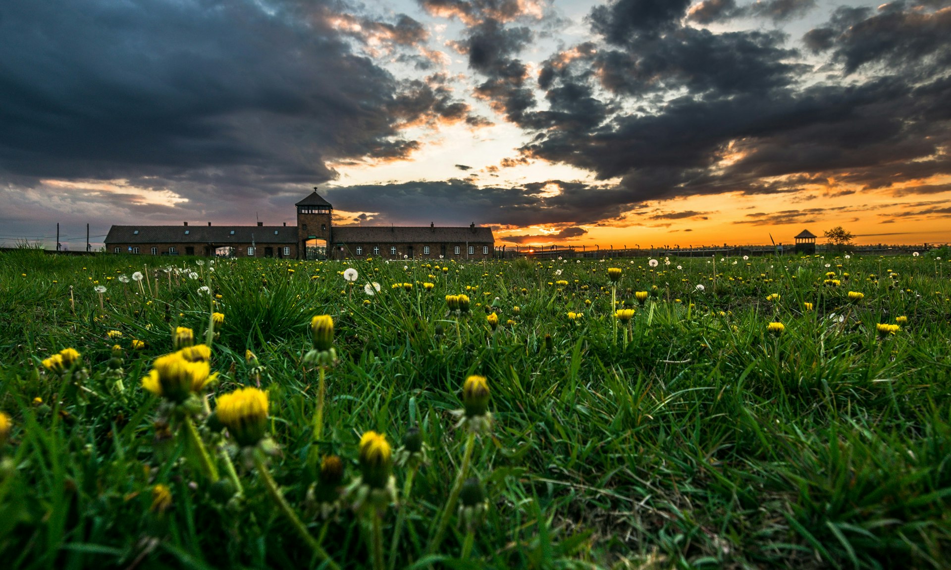 Auschwitz Birkenau Tours