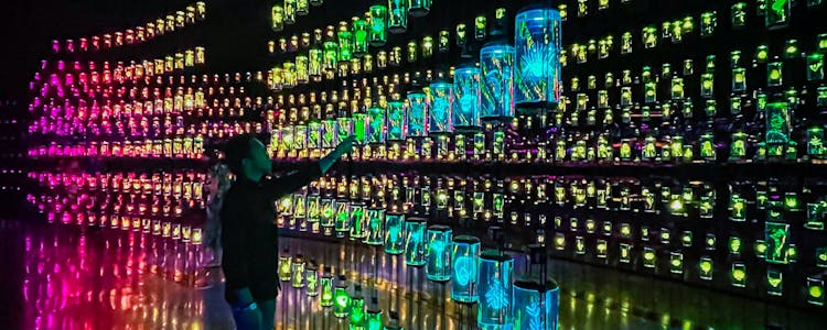 inside museum of the future - exhibits