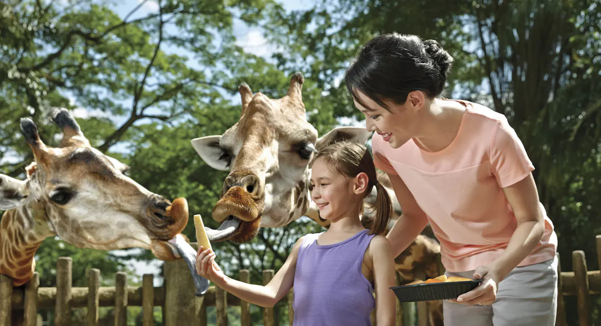 singapore zoo