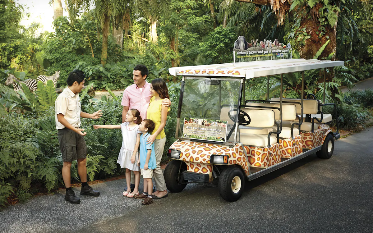 singapore zoo - things to do