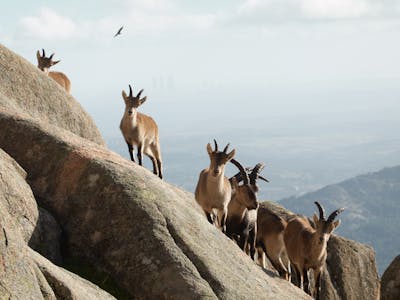 Sierra de Guadarrama National Park