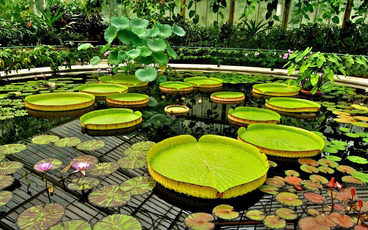 summit one vanderbilt observation deck air