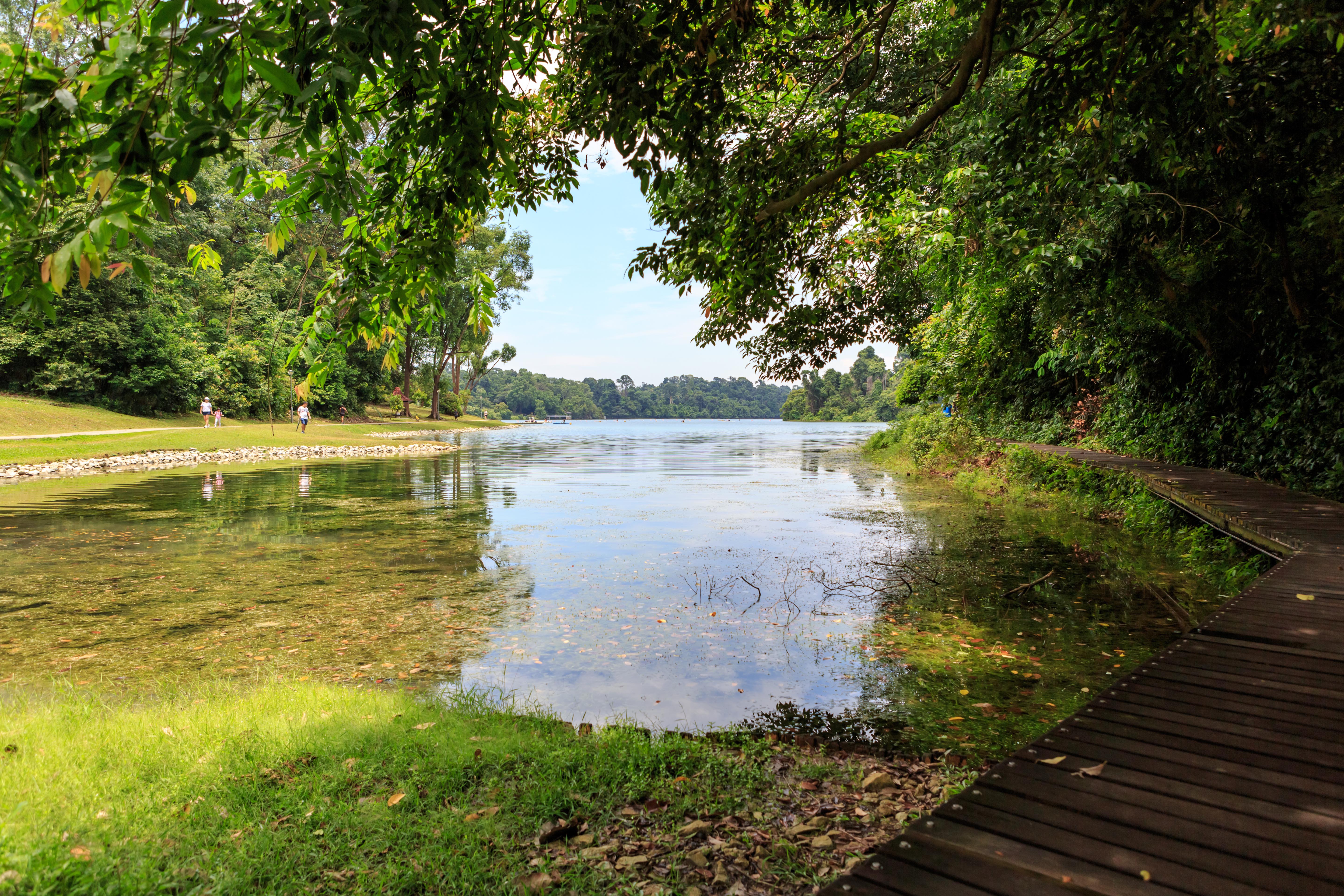 best wildlife in singapore