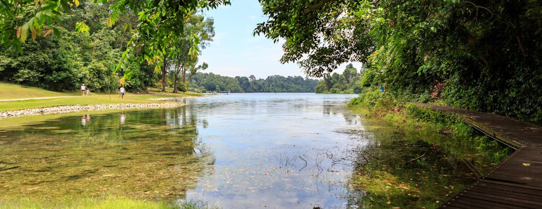 best wildlife in singapore