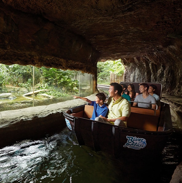 Discover Asia’s First River-Themed Wildlife Park at River Wonders Singapore