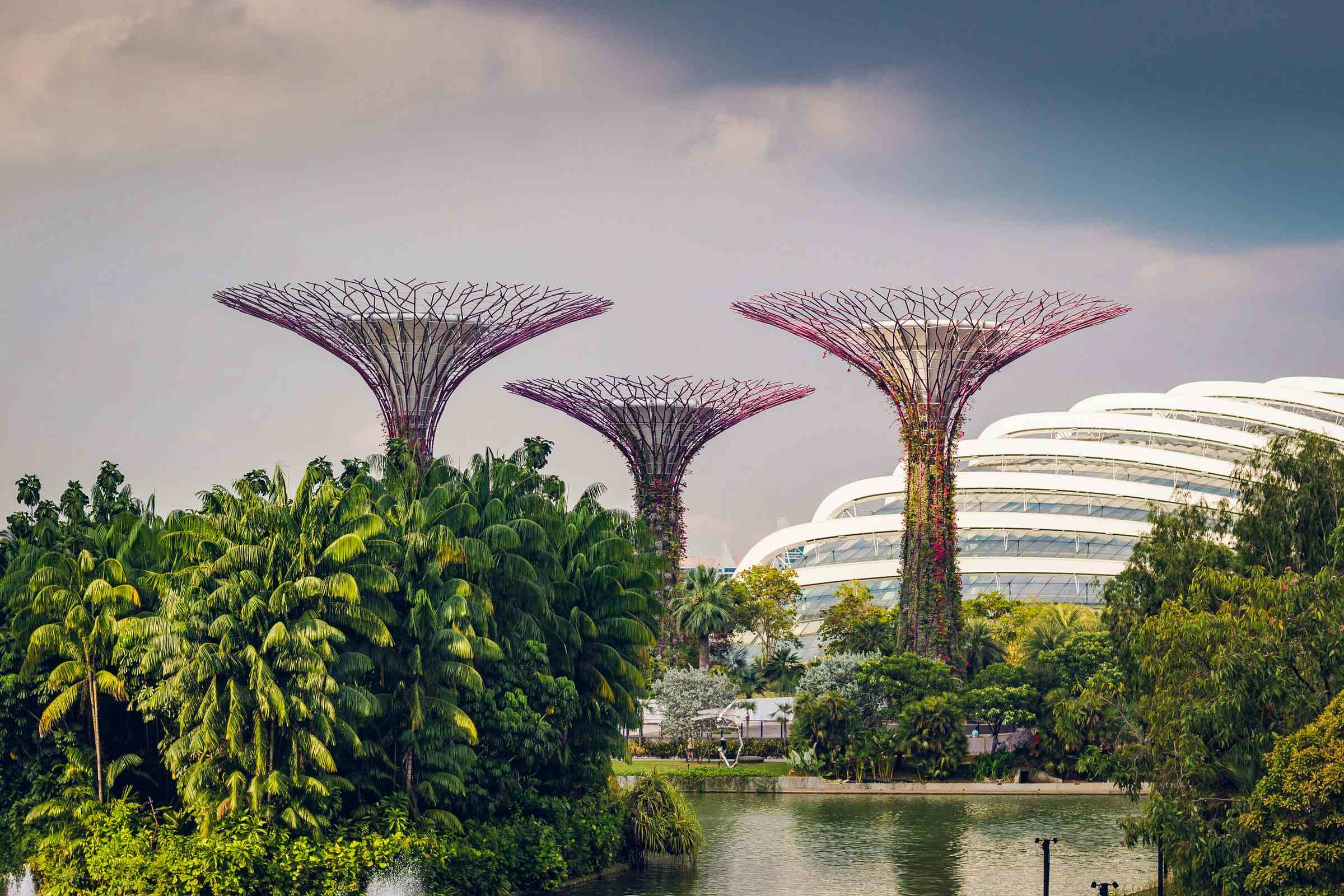 Free things to do in Singapore