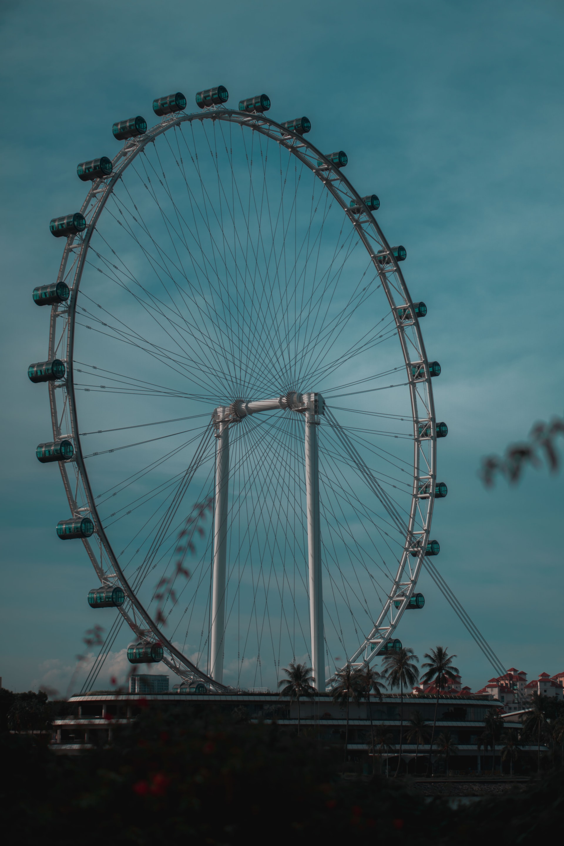 Singapore Travel Guide - Singapore Flyer