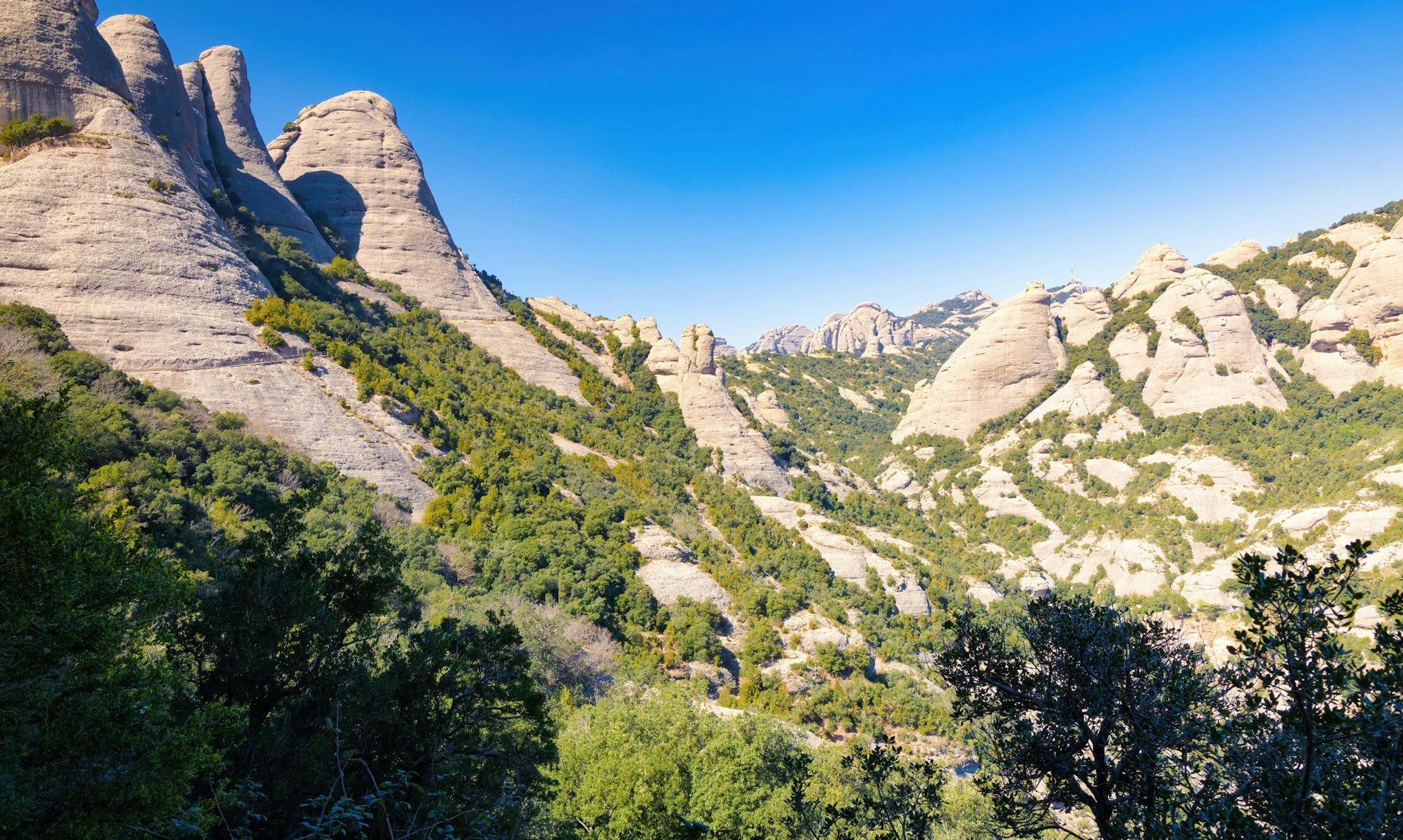 Montserrat Guided Tours