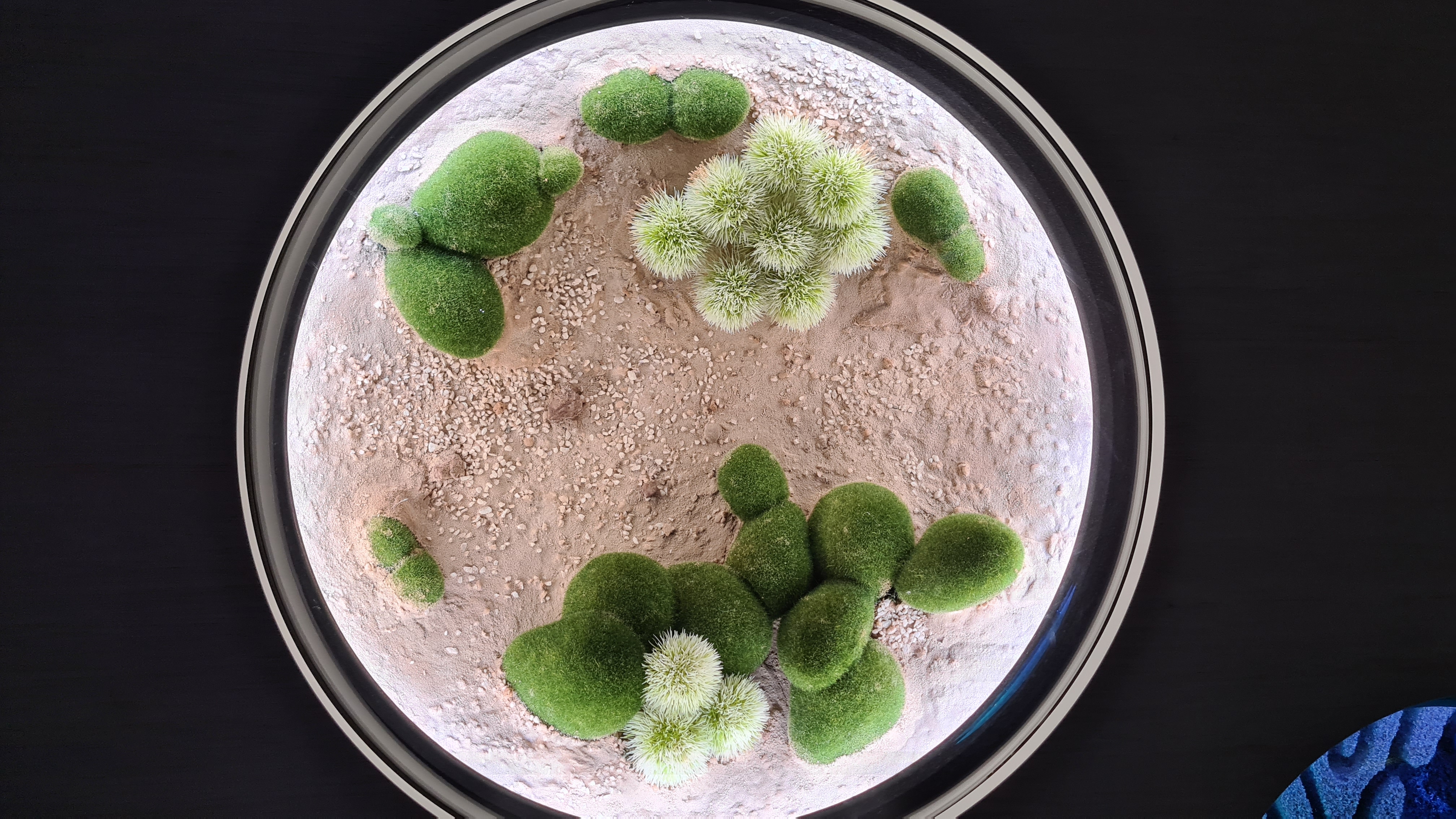 inside museum of the future - exhibits