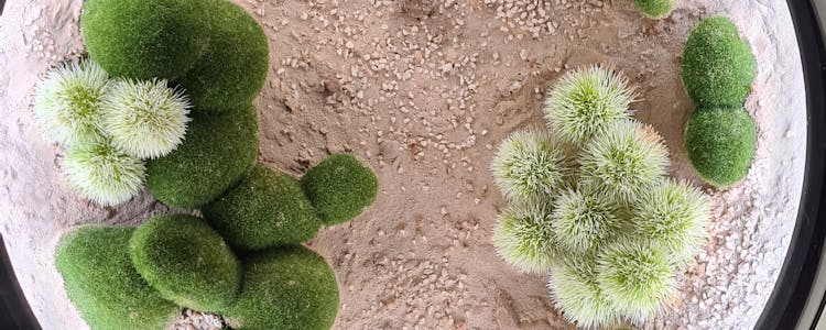 inside museum of the future - exhibits