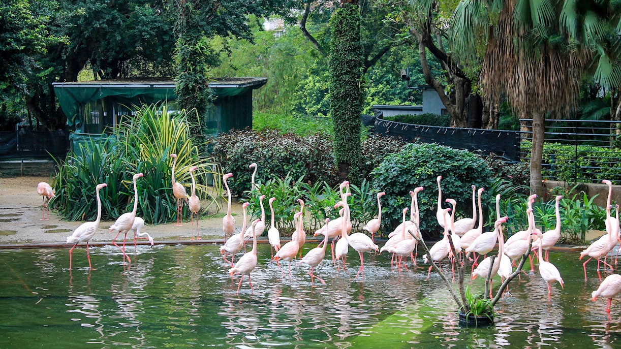 Hong Kong Zoological and Botanical Gardens