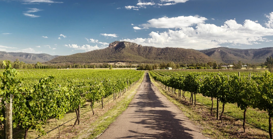 Hunter Valley Wine Tour & Tickets