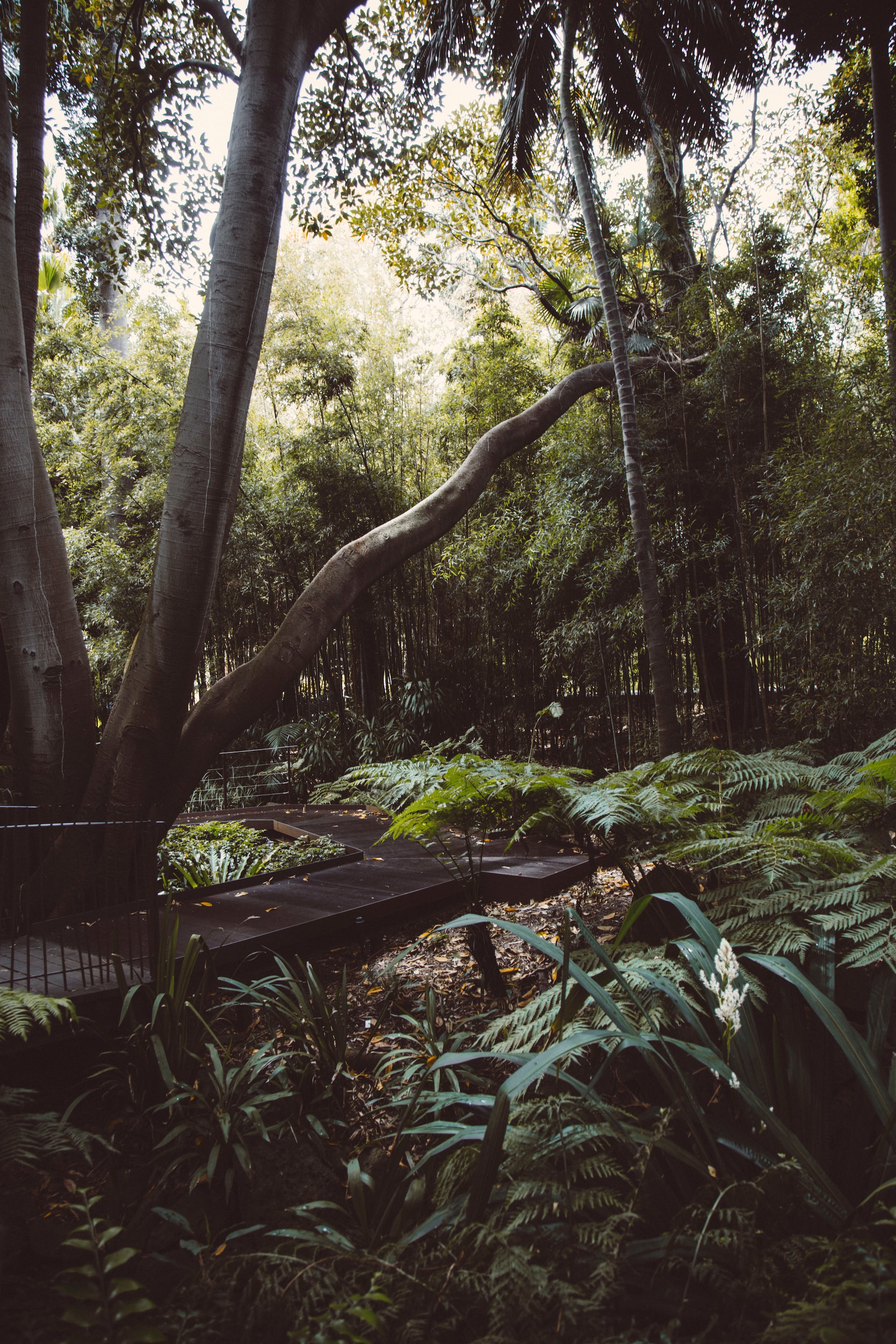 Melbourne Trip Planner