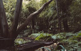 Melbourne Trip Planner